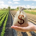 The Profit Potential of Owning a Farm: An Expert's Perspective