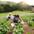 The Secrets to Running a Profitable Small Farm