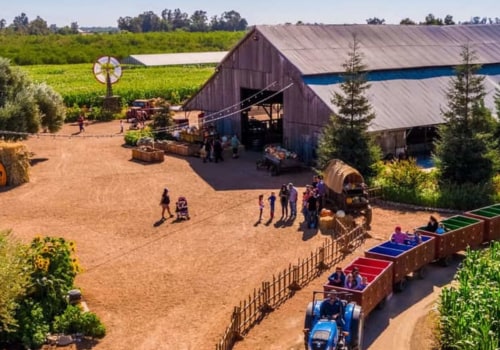 Explore The Best Farm-To-Table Experiences In Acton Near Los Angeles With Black-Owned Farms