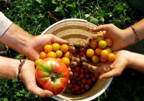 The Lucrative World of Organic Farming