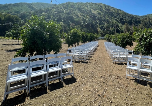 Looking For Unique Wedding Venues Near Los Angeles? A Black-Owned Farm Offers A Magical Setting