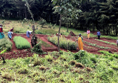 The Unsung Heroes of Agriculture: The Vital Role of Small Farmers