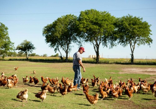 The Truth About Farm Ownership and Profitability