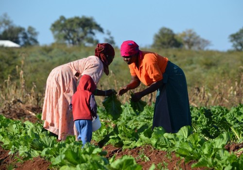 Subsistence Agriculture Examples That Empower Black-Owned Farming Communities