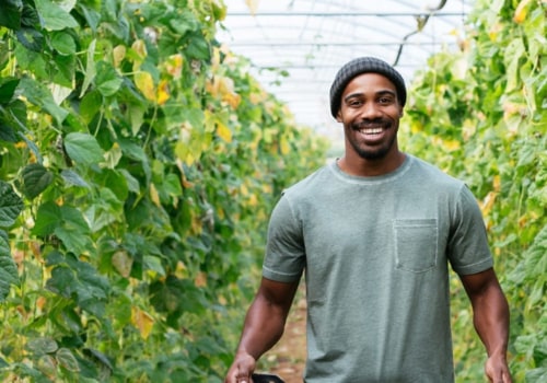 How The Largest Black-Owned Organic Farm Ranch Near Los Angeles CA Promotes Healthy Living